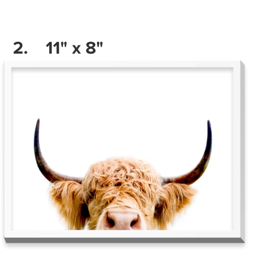 “Peeking Cow” Art Decor - 11 x 8